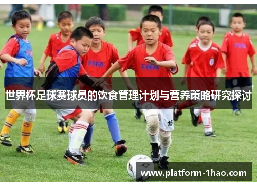 世界杯足球赛球员的饮食管理计划与营养策略研究探讨 世界杯足球赛球员的饮食管理计划与营养策略研究探讨