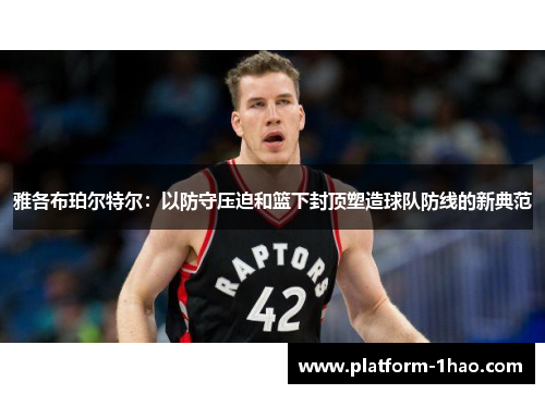 雅各布珀尔特尔：以防守压迫和篮下封顶塑造球队防线的新典范