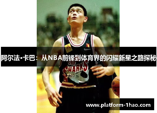 阿尔法·卡巴：从NBA前锋到体育界的闪耀新星之路探秘