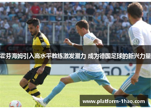 霍芬海姆引入高水平教练激发潜力 成为德国足球的新兴力量