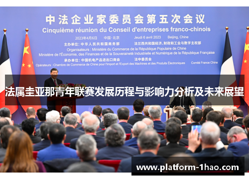 法属圭亚那青年联赛发展历程与影响力分析及未来展望