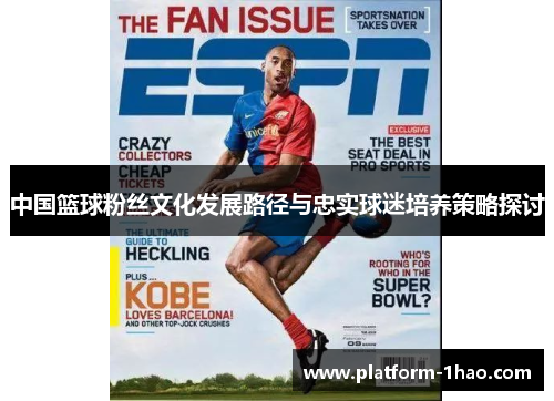 中国篮球粉丝文化发展路径与忠实球迷培养策略探讨