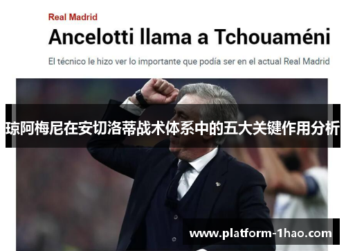 琼阿梅尼在安切洛蒂战术体系中的五大关键作用分析