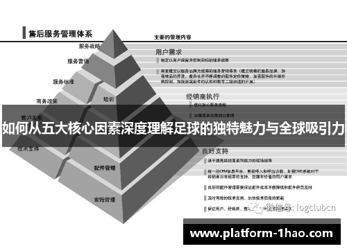 如何从五大核心因素深度理解足球的独特魅力与全球吸引力 如何从五大核心因素深度理解足球的独特魅力与全球吸引力