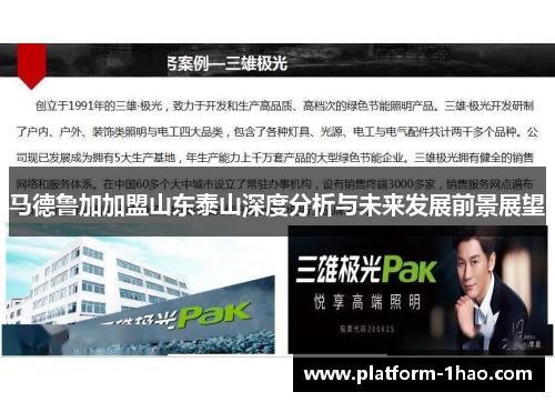 马德鲁加加盟山东泰山深度分析与未来发展前景展望