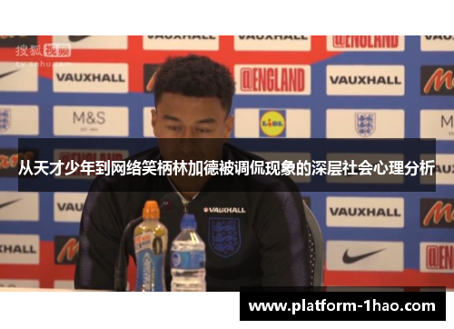 从天才少年到网络笑柄林加德被调侃现象的深层社会心理分析