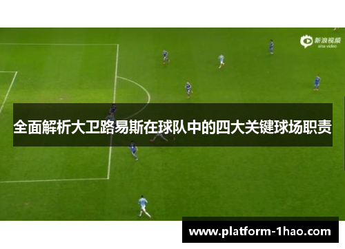 全面解析大卫路易斯在球队中的四大关键球场职责