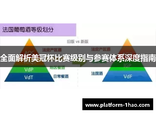 全面解析美冠杯比赛级别与参赛体系深度指南