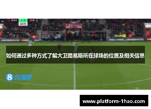如何通过多种方式了解大卫路易斯所在球场的位置及相关信息