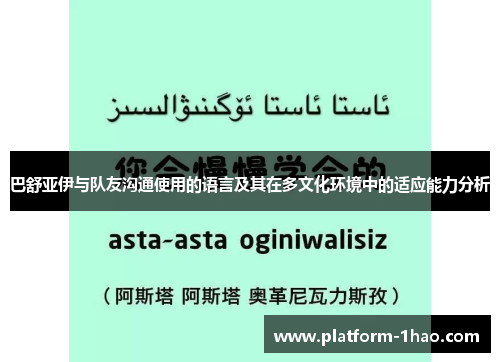 巴舒亚伊与队友沟通使用的语言及其在多文化环境中的适应能力分析