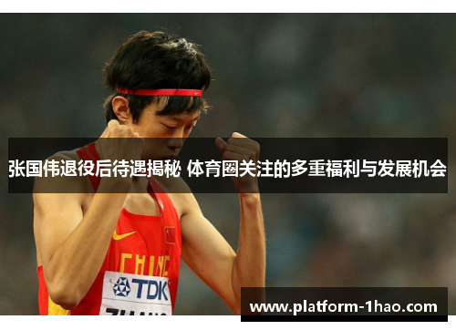 张国伟退役后待遇揭秘 体育圈关注的多重福利与发展机会 张国伟退役后待遇揭秘 体育圈关注的多重福利与发展机会