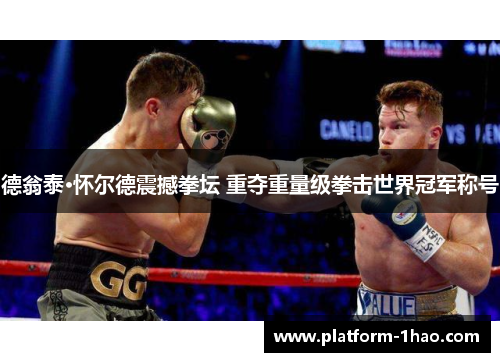 德翁泰·怀尔德震撼拳坛 重夺重量级拳击世界冠军称号 德翁泰·怀尔德震撼拳坛 重夺重量级拳击世界冠军称号