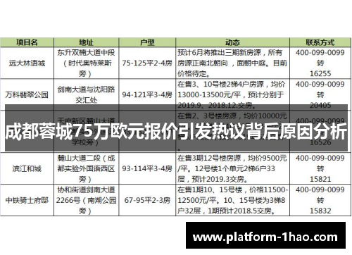 成都蓉城75万欧元报价引发热议背后原因分析 成都蓉城75万欧元报价引发热议背后原因分析