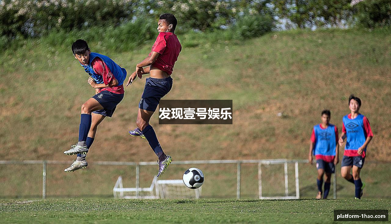 发现壹号娱乐